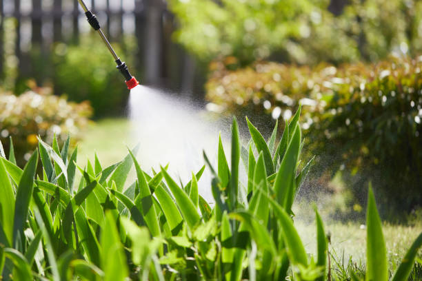 24/7 Emergency Mosquito Control experts in Harrington Park, NJ