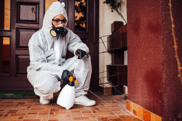 Reliable Mosquito Control contractor in Harrington Park, NJ by Show Me Pest Control