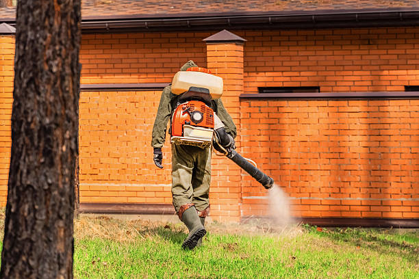 Top rated local Mosquito Control specialists in Harrington Park, NJ